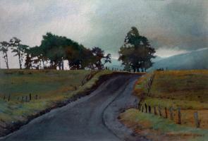 artwork by Patricia Herlihy